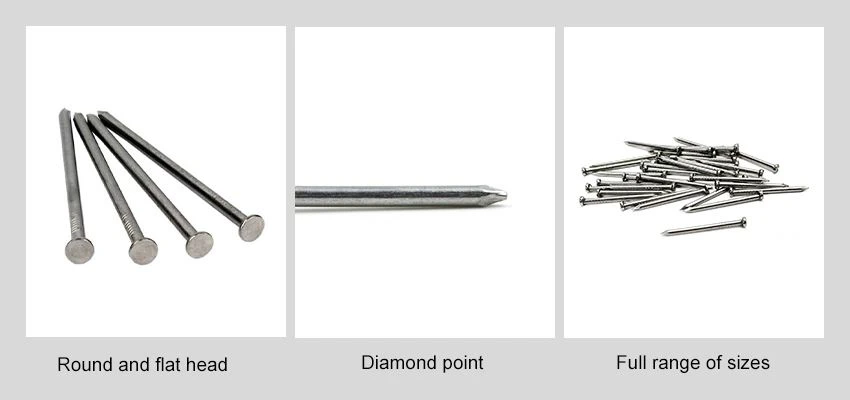 Polish Iron Wire Nails details