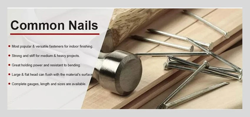galvanized round wire steel loose nails details