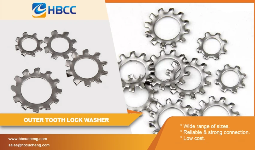 outer tooth lock washer advantage outer tooth lock washer advantage