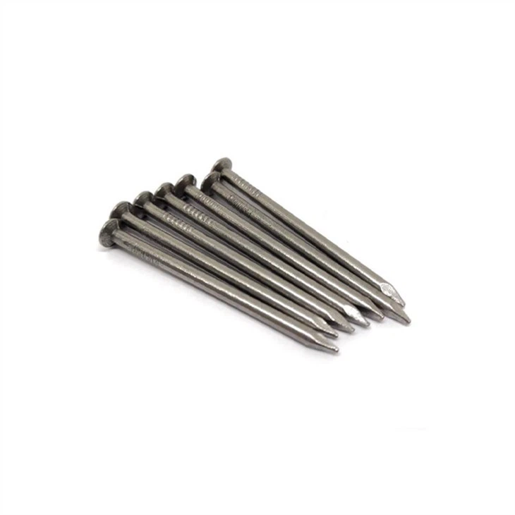 Wood Common Wire Nails Tillverkare